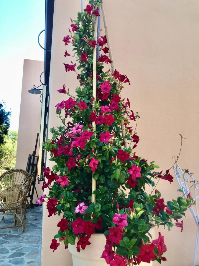 Bed and Breakfast Le 25 Tartarughe Santa Teresa Gallura Exterior foto