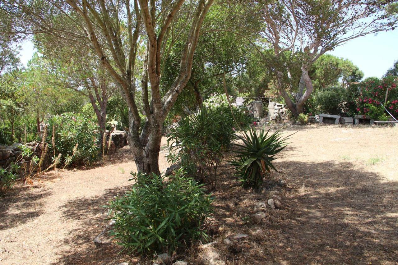 Bed and Breakfast Le 25 Tartarughe Santa Teresa Gallura Exterior foto