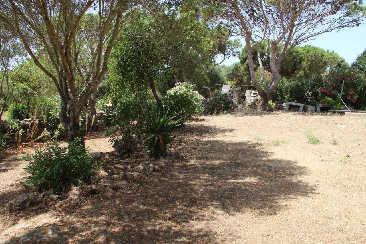 Bed and Breakfast Le 25 Tartarughe Santa Teresa Gallura Exterior foto