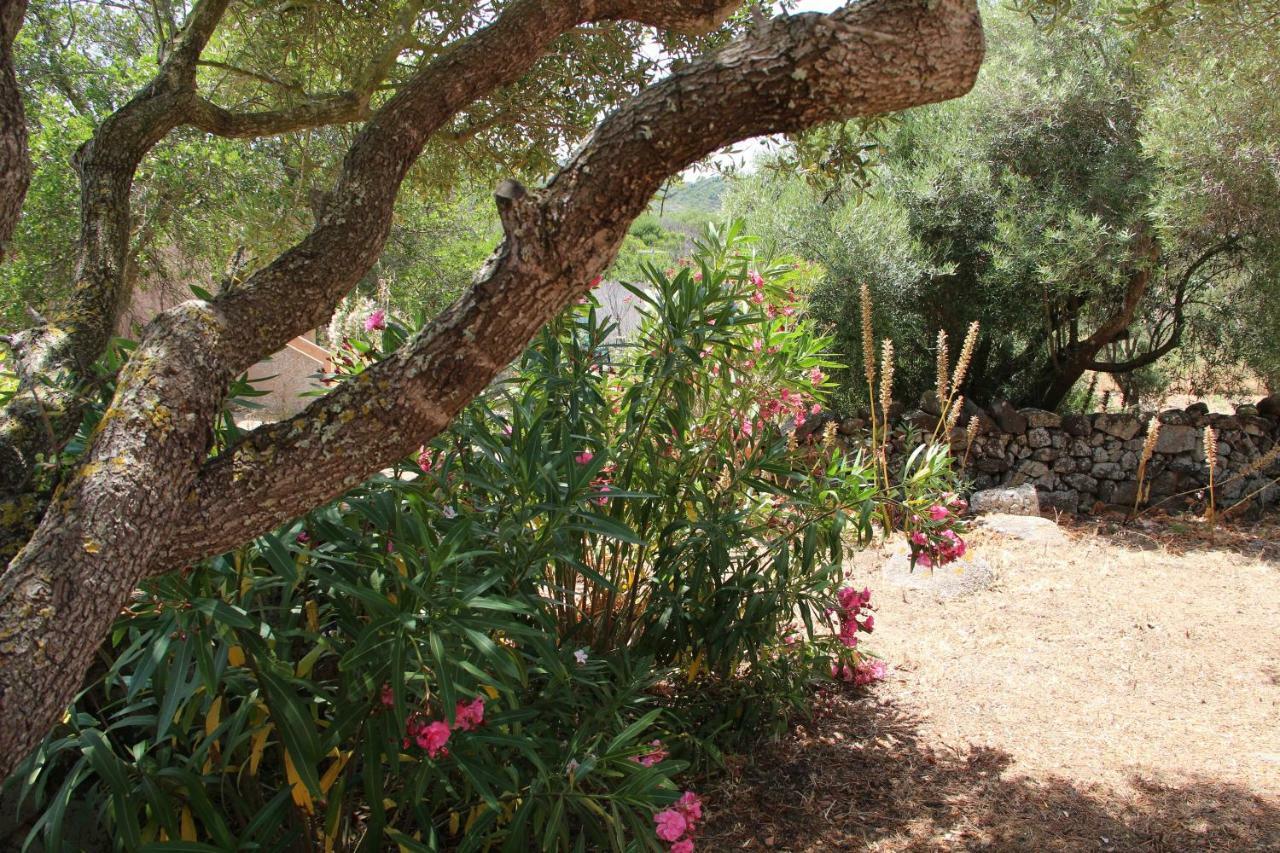 Bed and Breakfast Le 25 Tartarughe Santa Teresa Gallura Exterior foto