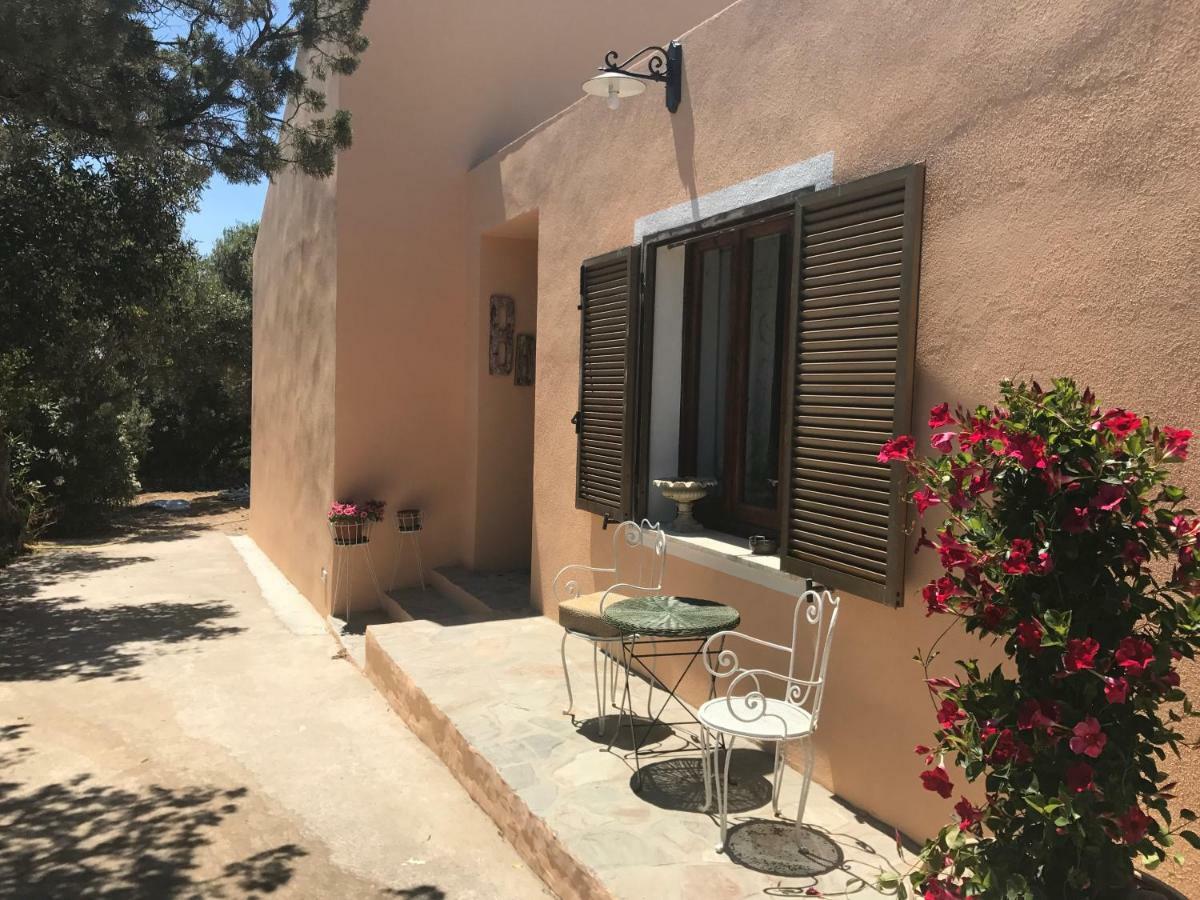Bed and Breakfast Le 25 Tartarughe Santa Teresa Gallura Exterior foto